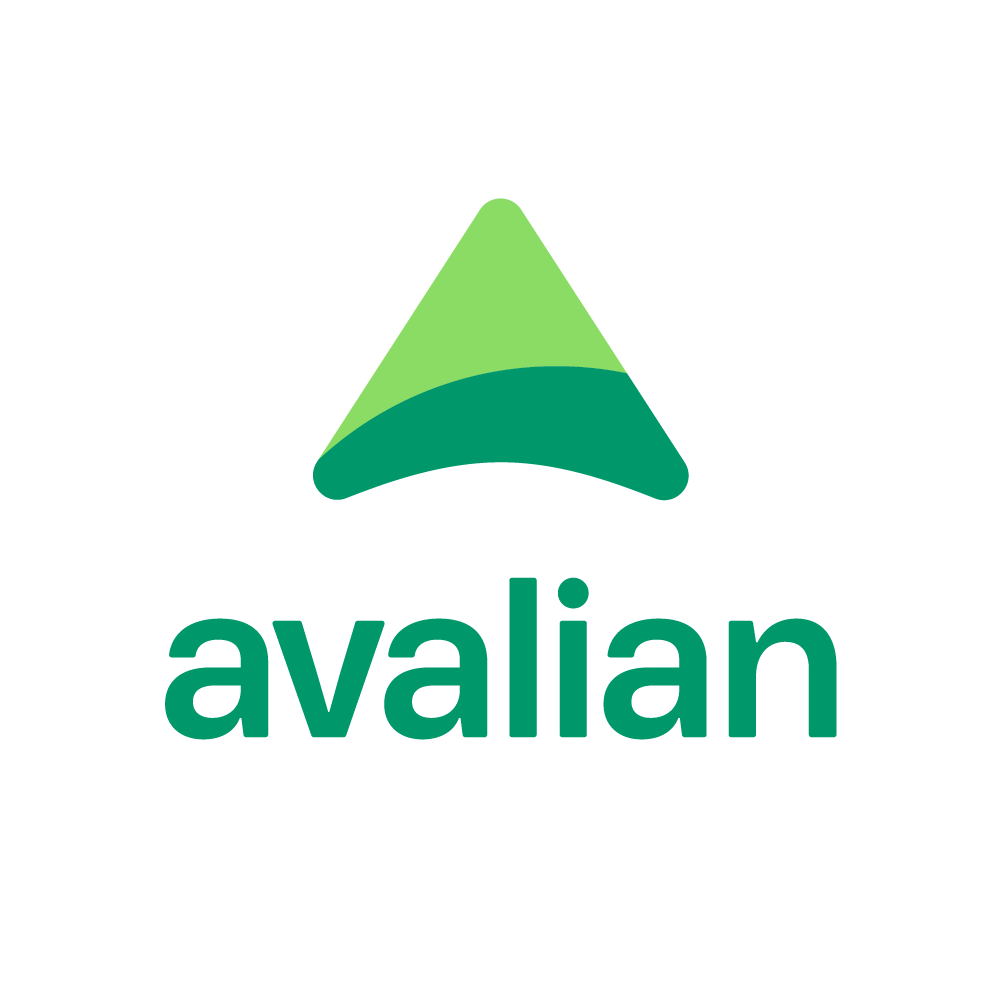 Avalian company logo - Salesforce Developer position at Avalian